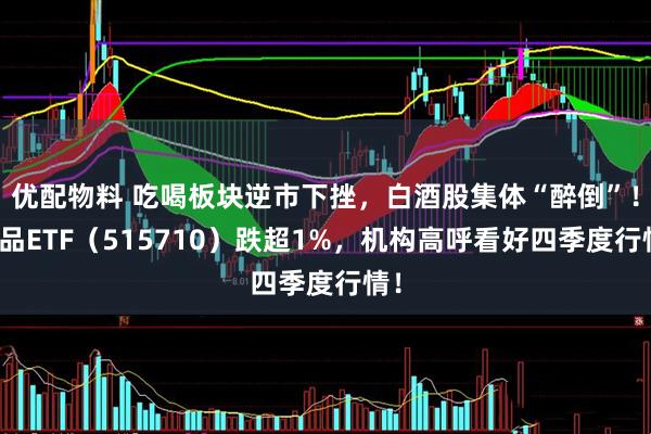 优配物料 吃喝板块逆市下挫，白酒股集体“醉倒”！食品ETF（515710）跌超1%，机构高呼看好四季度行情！
