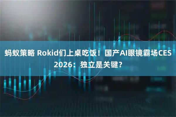 蚂蚁策略 Rokid们上桌吃饭！国产AI眼镜霸场CES2026：独立是关键？